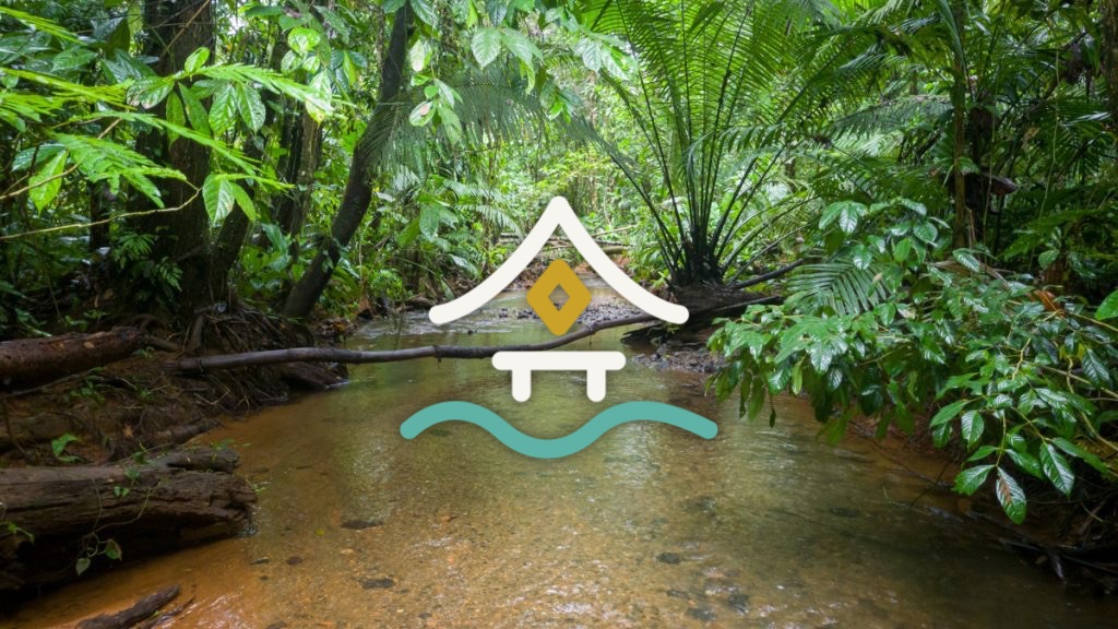 the creek running through the jungle
